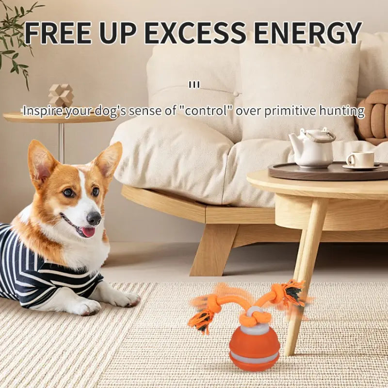 Smart Electric Rolling Ball Toy for Dogs - Indoor Training and Stimulation, Durable Bite-Resistant Design for Boredom Relief