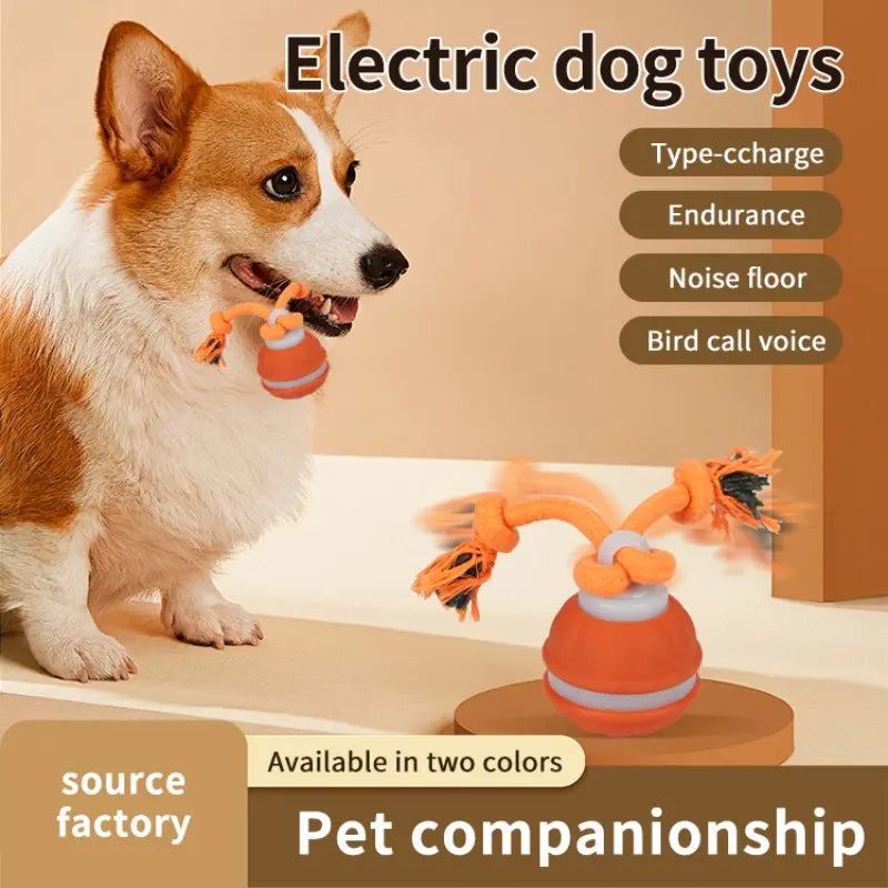 Smart Electric Rolling Ball Toy for Dogs - Indoor Training and Stimulation, Durable Bite-Resistant Design for Boredom Relief