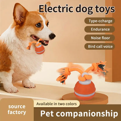 Smart Electric Rolling Ball Toy for Dogs - Indoor Training and Stimulation, Durable Bite-Resistant Design for Boredom Relief